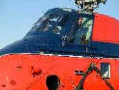 Royal Wessex - Click for details and pictures